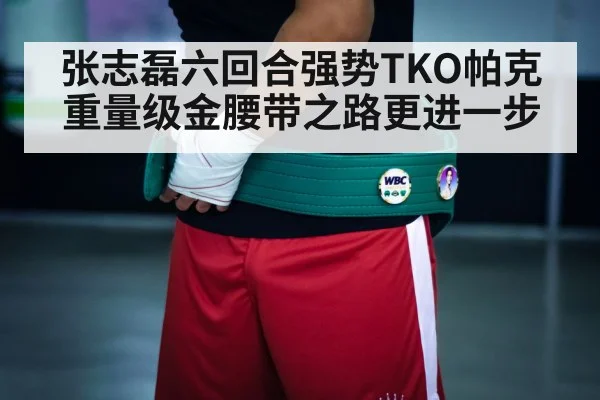 boxing championship belt