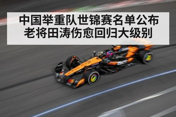 中国举重队世锦赛名单公布 老将田涛伤愈回归大级别